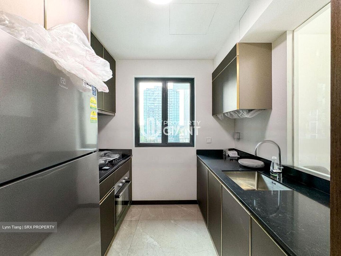 Normanton Park (D5), Apartment #460396961